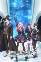 Чёрная кошка и класс ведьм